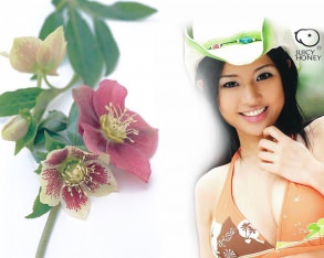 �������-��������